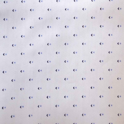 Blue Dot and Arrow on White