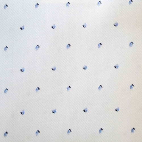 Blue Feathers on White